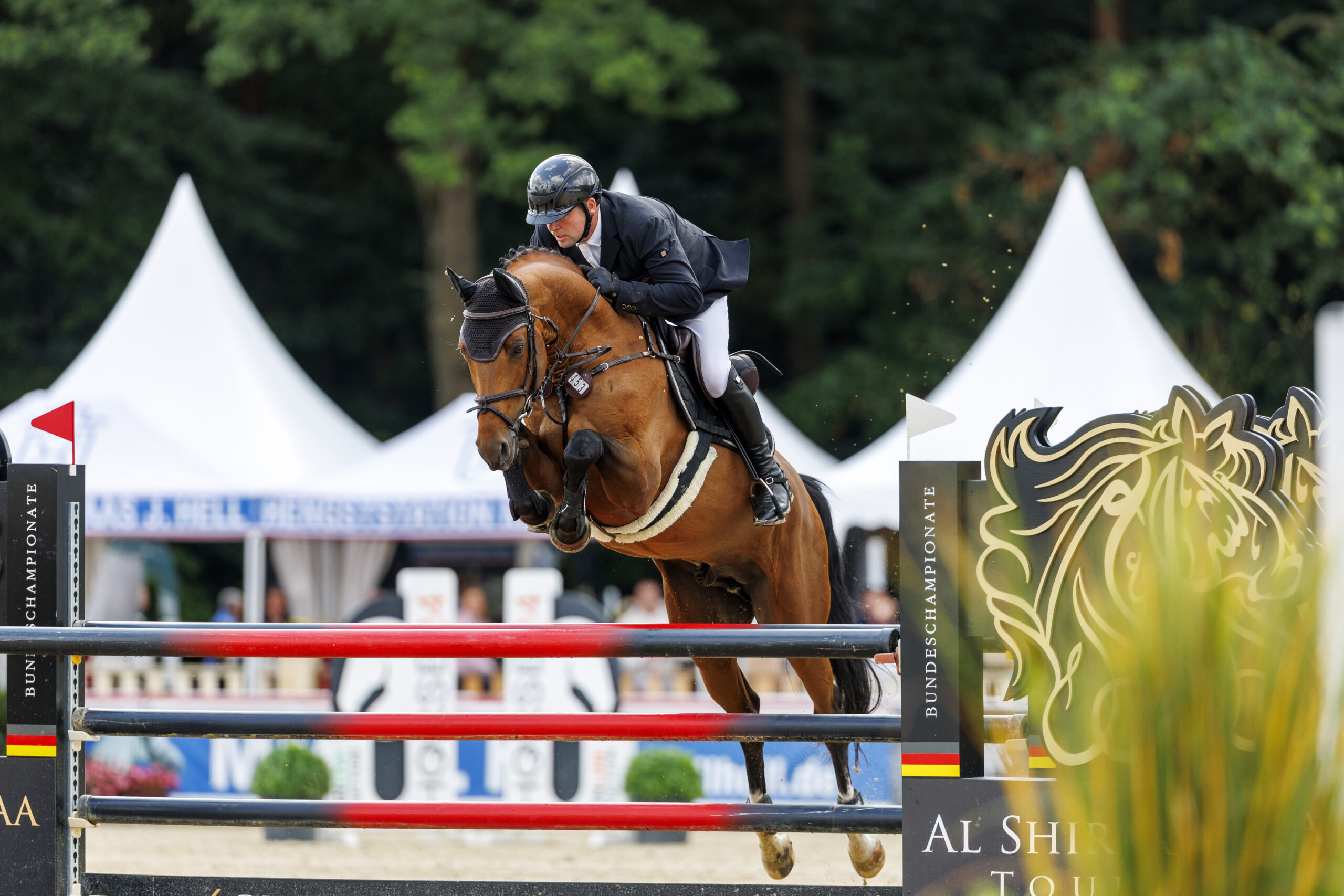 WARENDORF - Al Shira`aa Bundeschampionate 2025 Birkhof's Arezzo Man FBW wird mit Sophie Hinners Bundeschampion der fünfjährigen Springpferde 2024. Foto (c): Equitaris